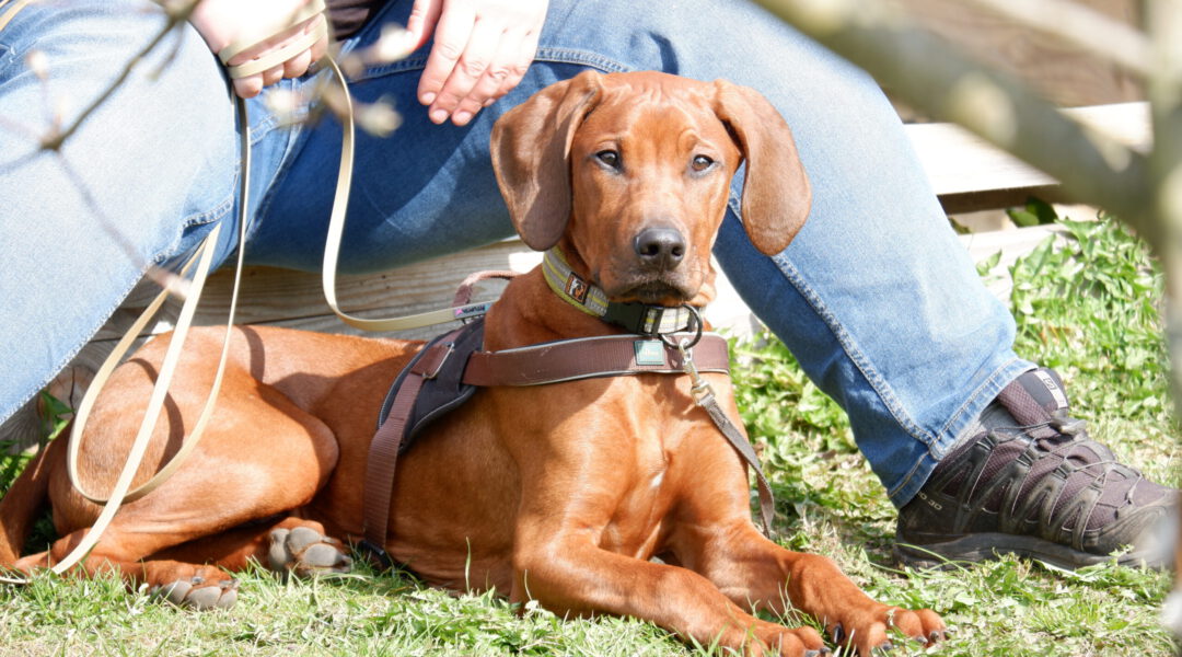 SEMINAR | Jungspunde | 26. bis 28. Juni 2026