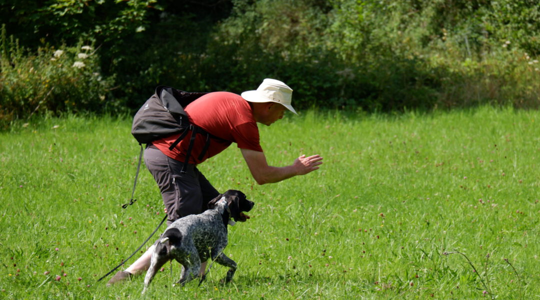 SEMINAR | Jagdhunde | 28. bis 30. August 2026