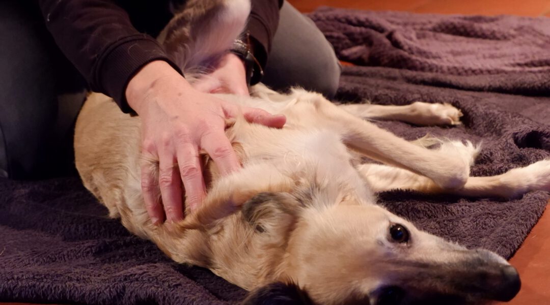 SEMINAR | Körperarbeit | 13. bis 15. November 2026