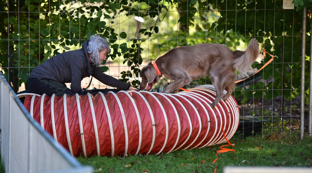 SEMINAR | Et kütt, wie et kütt! | 6. bis 8. November 2026